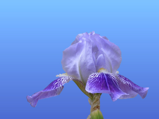 429361 (a): :1600x1200